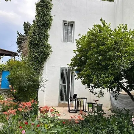 Duplex For 4 People In Center Αλικαρνασσός