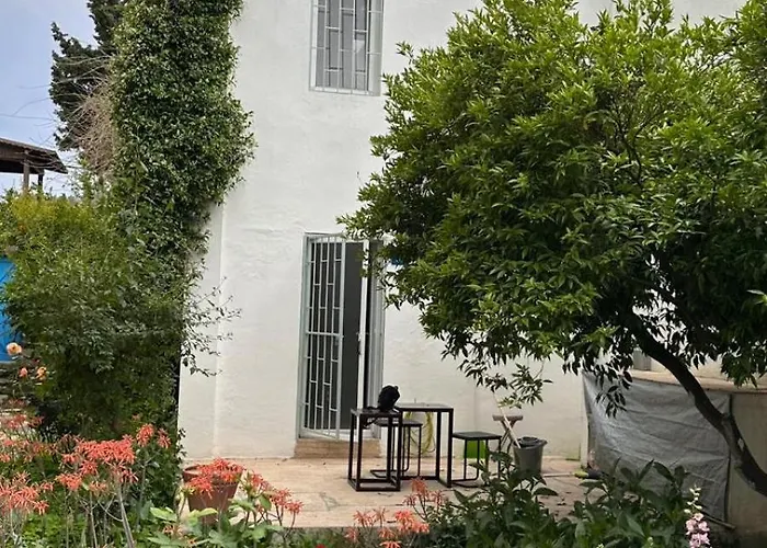 Apartamento Duplex For 4 People In Center